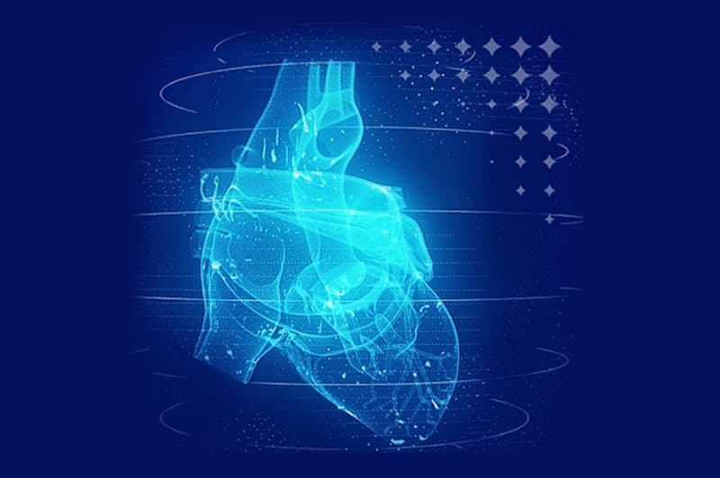 Cardio Flow heart
