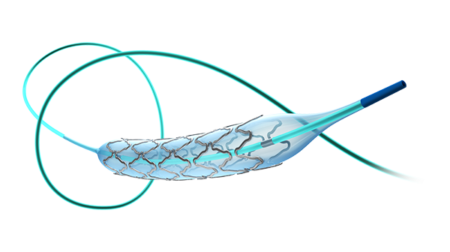 Cerebral Atherosclerotic Disease APOLLO Intracranial Stent System 1