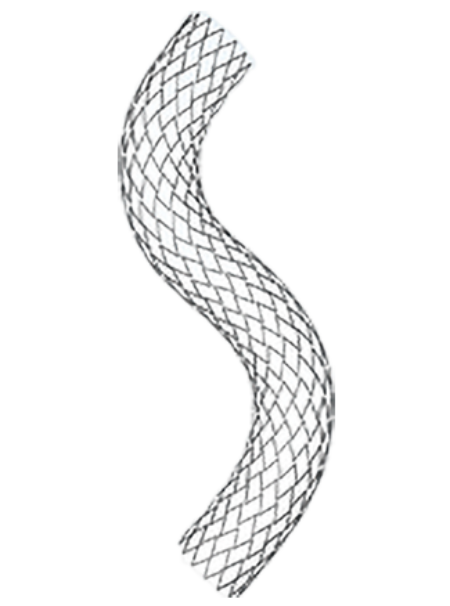 Peripheral Vascular Diseases CROWNUS Peripheral Stent System 4