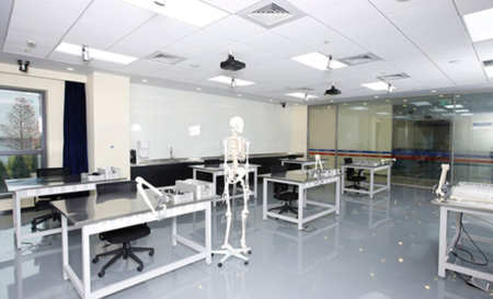 Professional Training Orthopedics Training Classroom 3