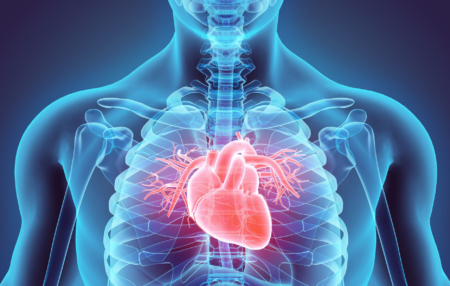 Bradycardia Bradycardia Patients Abnormal Heartbeat 1