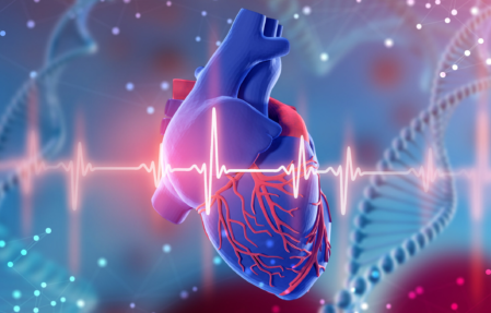 Bradycardia Bradycardia Abnormal Electrical Impulse 2